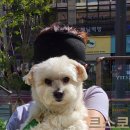 살랑살랑 이미지