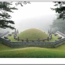 여주-0310 이미지