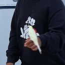 풍호농장 이미지