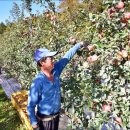 능금농장2 이미지