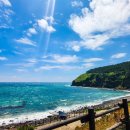 한마음카랜드 | 제주도 승합차 투어 온가족 편한 아이와 여행