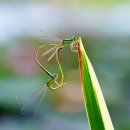 청정한의원 이미지