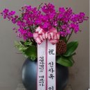 여천전남병원 이미지