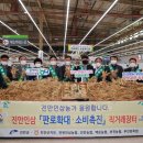 장터할인마트 이미지