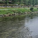 (주)기성타이어 해도점 | 9월 셋째주 : 원주, 당근, 타이어, 병원, 부산&amp;거제, 결혼식