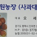대문대추농장