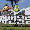 보광주류 이미지