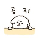 논산애견미용학원 이미지
