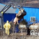 비호축산 이미지