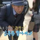 인생학교 봄 이미지