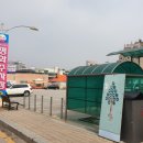 고창타조농장 이미지