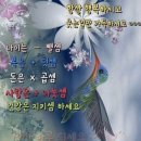 약수주짓수체육관 네이버블로그