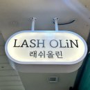 래쉬올린
