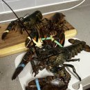 케이투엘 이미지