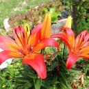 용추계곡펜션 이미지