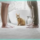 24시 아이동물메디컬센터 이미지