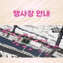 [영동]충북 영동 가볼만한 곳ㅣ2026 대한민국 영동 와인축제 후기