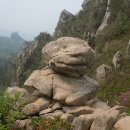 굿모닝병원 앞 사거리 이미지