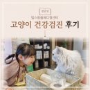 탑스동물메디컬센터 | 대구 달서구 동물병원 탑스동물메디컬센터에서 고양이건강검진 후기