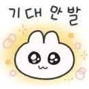 미스터와이 풀빌라 이미지