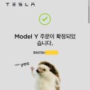 캠핑은 아니고 빛의 속도로 지나가는 금토일 정리 (핵심주제 : 테슬라 모델Y)