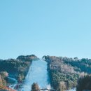 매일카프라자 이미지