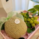 한지청과 이미지