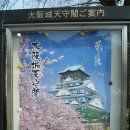 2009년4월3일 [오사카성&기요미즈데라] 관광 여행기 이미지