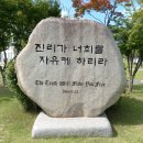 신촌동-1 이미지