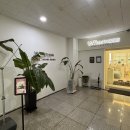 영화블렌하임(아)경로당 | 청라 두피케어 탈모관리 전문 WT메소드 인천청라점 내돈내산 솔직후기 및 중간점검 결과