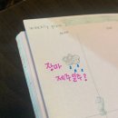 GS25 제주평화로점 | 24年7月 : 장마, 제주도 국토대장정-1편