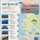 해안로 | 제주 돌고래 스팟 BEST 5｜노을해안로에서 야생돌고래를 만난 최신 후기