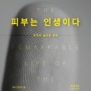 블링수 이미지