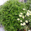 여남경로당 이미지