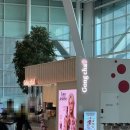 주야주 | 인천 - 푸켓 대한항공 프레스티지 및 입출국 패스트 트랙 후기