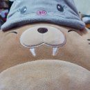 Shimmy shimmy 이미지