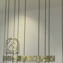 울산착한동물병원 | 울산 잘하는동물메디컬센터 에서 허리디스크강아지 “전기침치료” 후기