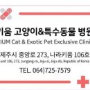 제주 키움 동물병원 네이버블로그