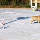 아폴로 스테이 이미지