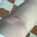 휘림빌딩 이미지