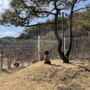 평화세차장 이미지