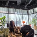 살롱드아 | 아난티 앳 강남 투숙객 회원만 갈 수 있는 프라이빗 라운지 살롱드아난티 후기