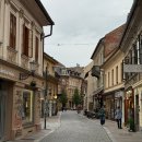 문화가 있는 날-매미성 음악산책 | DAY11#-2[슬로베니아 여행]류블랴나 구시가지와 언덕 위 성 – 도시가 선물한 또 다른 풍경