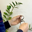 대명독일안경원 이미지