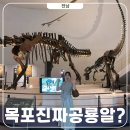 목포자연사문화박물관 | 목포 자연사박물관 한국에서 공룡알이 나왔다고? 직접 다녀옴