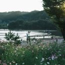 당리 할아버지 이미지