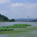 신정호국민관광지 이미지