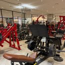 싸이벡스 정품 파워레그프레스, 스쿼트프레스 삽니다!! (리퍼x) 이미지