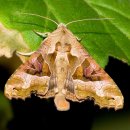 (유)산들조경건설 | No. 1050_ 크로아티아의 유네스코 세계유산, 플리트비체 호수 국립공원(Plitvice Lakes National Park)