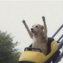 정미할인마트 | [공지] 26.3